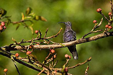 《星刃》PS5容量30.4GB 预载19日开启
